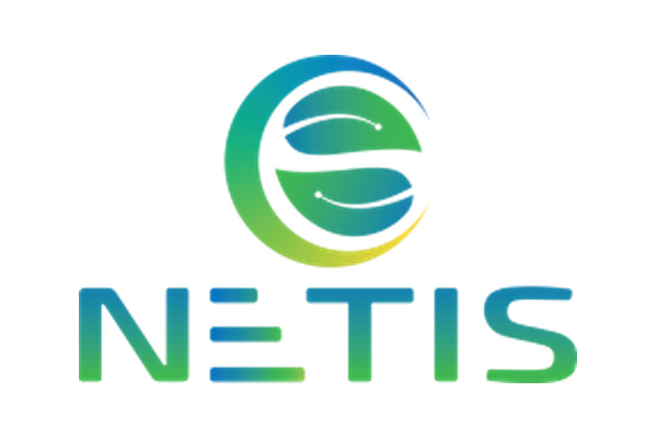 Logo NETIS